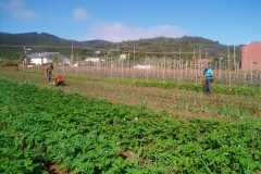 IMG-20200511-WA0028