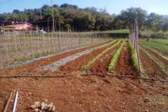 IMG-20200511-WA0030