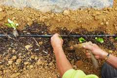 IMG-20200516-WA0005