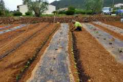 IMG-20200516-WA0008