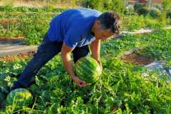 IMG-20200710-WA0006