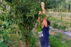IMG-20200721-WA0016