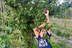 IMG-20200721-WA0017