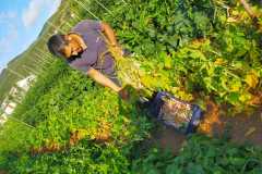 IMG-20200721-WA0037
