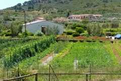 IMG-20200721-WA0040